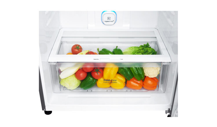 یخچال و فریزر ال جی REFRIGERATORS LG GNM-732