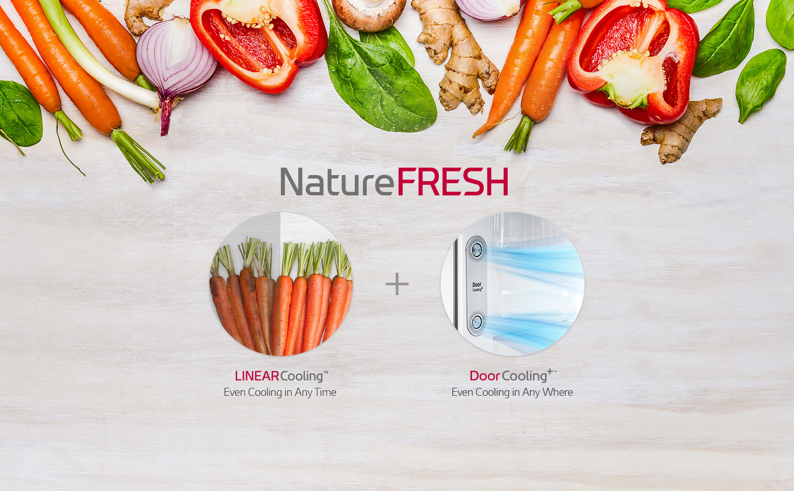 قابلیت nature fresh در یخچال بالا پایین ال جی مدل 882