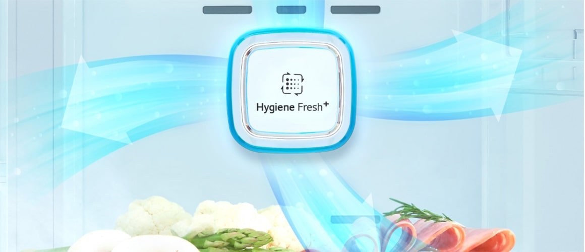 فیلتر بهداشتی Hygiene Fresh Plus